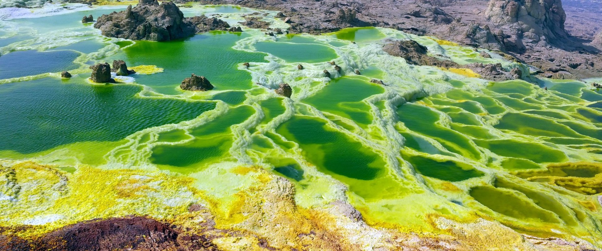 Recent Discoveries of Microbial Life in Extreme Environments on Earth: Exploring the Possibility of Extraterrestrial Life