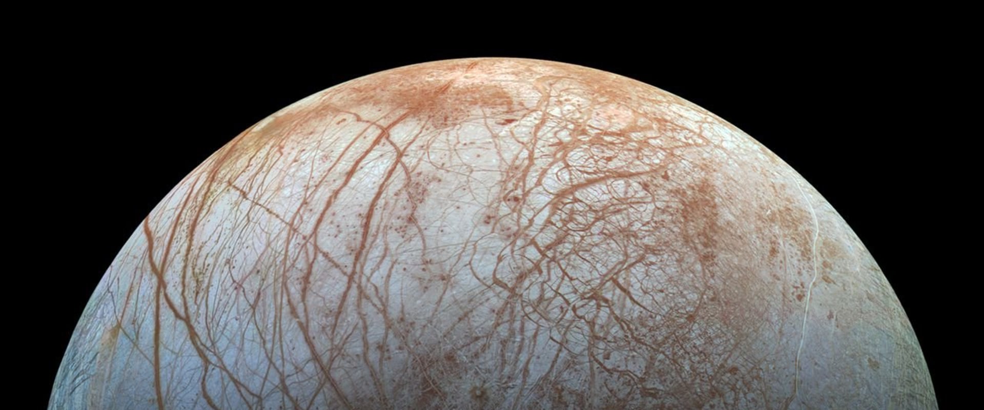 Microbial Life on Other Planets: Exploring the Possibilities